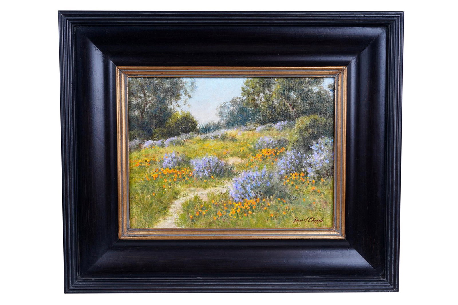 DAVID CHAPPLE: "SANTA BARBARA BACK COUNTRY" (1 of 8)