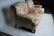 PAIR OF RALPH LAUREN UPHOLSTERED CLUB CHAIRS - 2