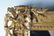 FRENCH GILT CARVED WOOD MIRROR - 2