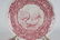SET OF TEN SPODE PORCELAIN DINNER PLATES - 10