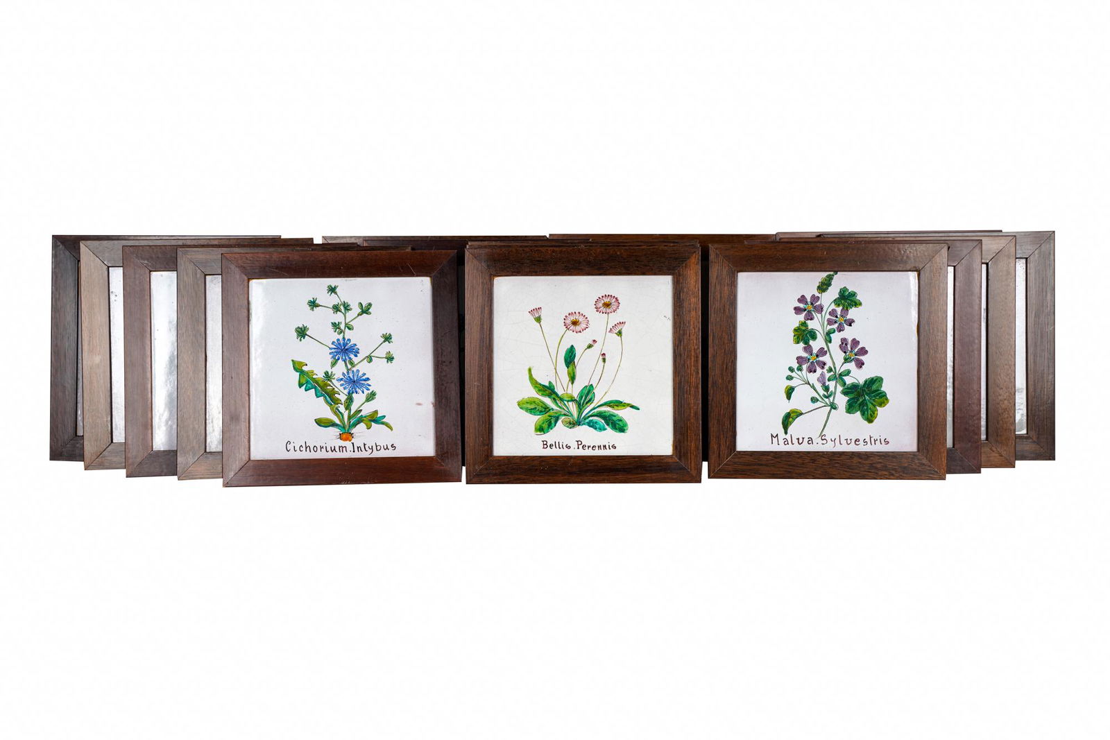 SET OF ITALIAN BOTANICAL CERAMIC TILES (1 of 10)