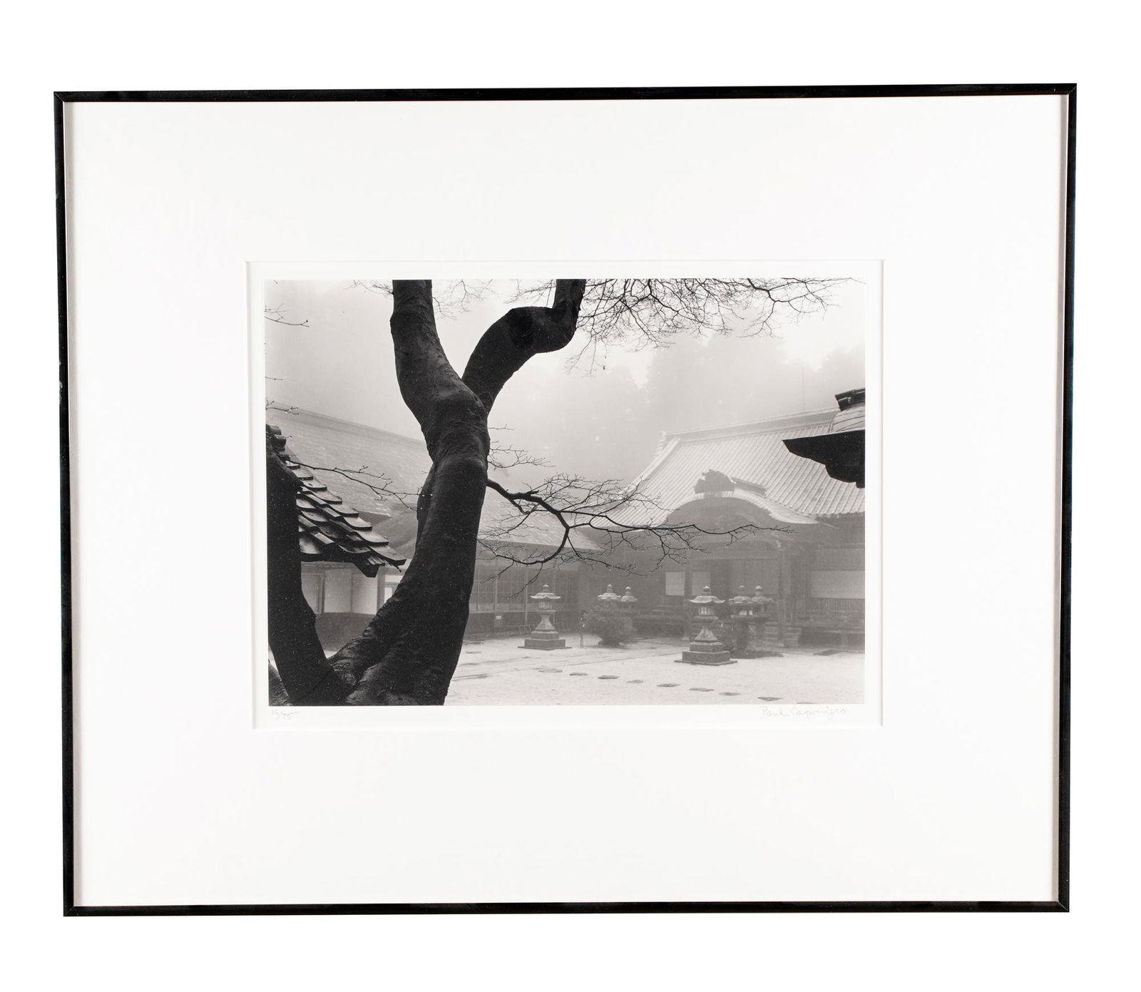 PAUL CAPONIGRO "THE BLACK TREE" (1 of 9)