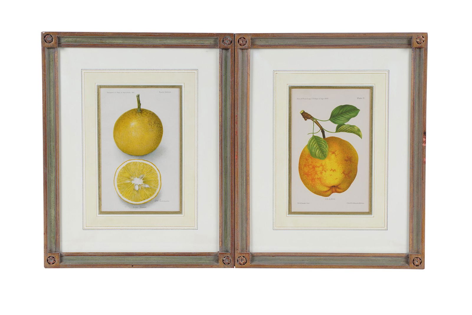 PAIR OF BOTANICAL PRINTS (1 of 9)