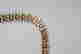 item-88935090=10