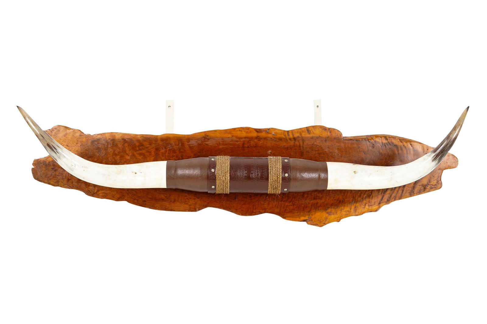 PAIR OF STEER HORNS (1 of 5)