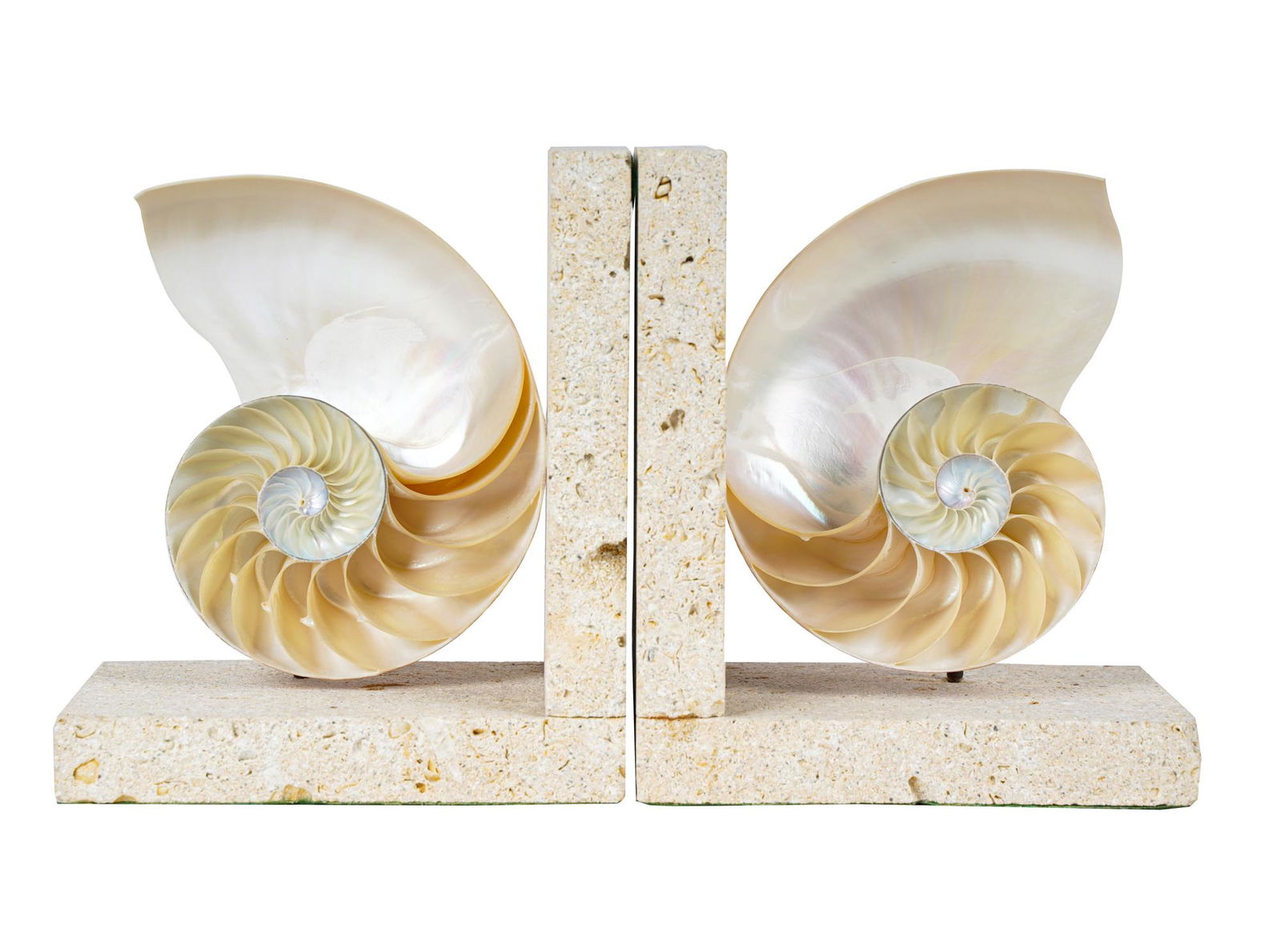 PAIR OF NAUTILUS SPECIMEN BOOKENDS (1 of 12)