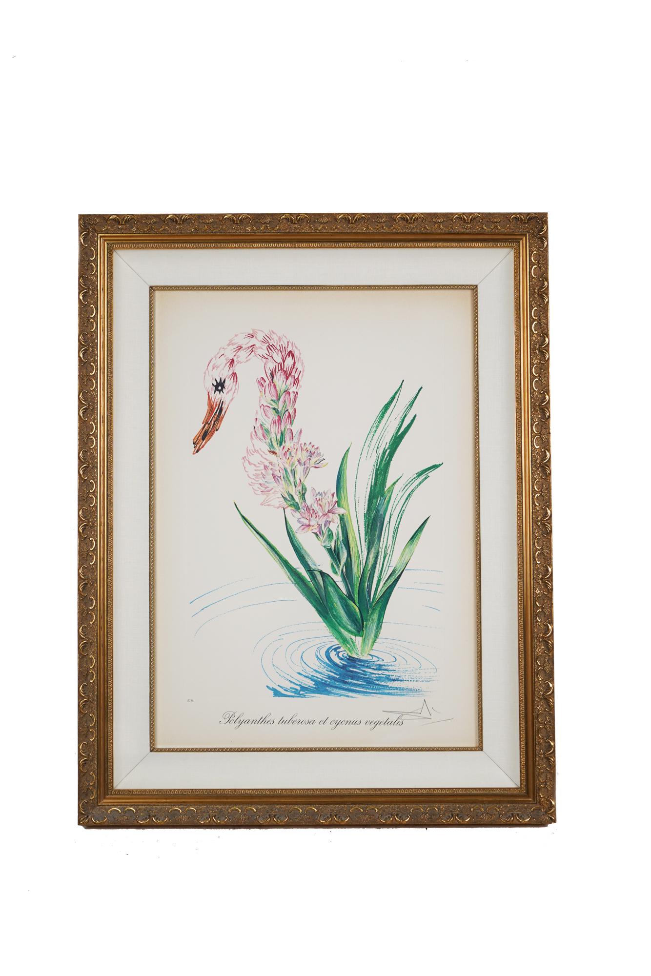 SALVADOR DALI: "WATER HIBISCUS" (1 of 7)