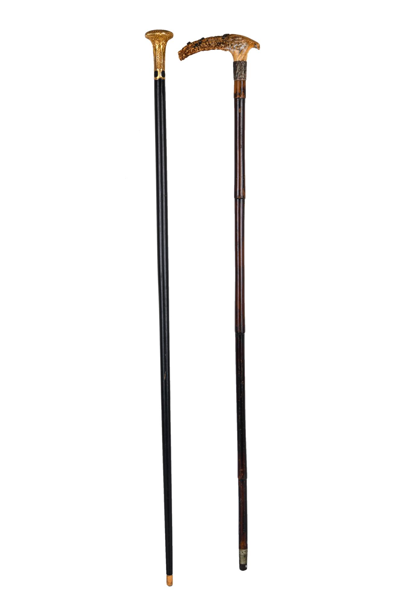 TWO ASSORTED WALKING STICKS (1 of 5)