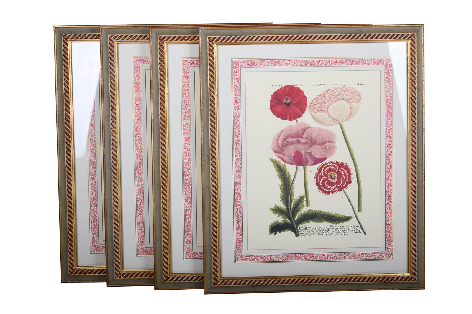SET OF FOUR BOTANICAL PRINTS (1 of 9)