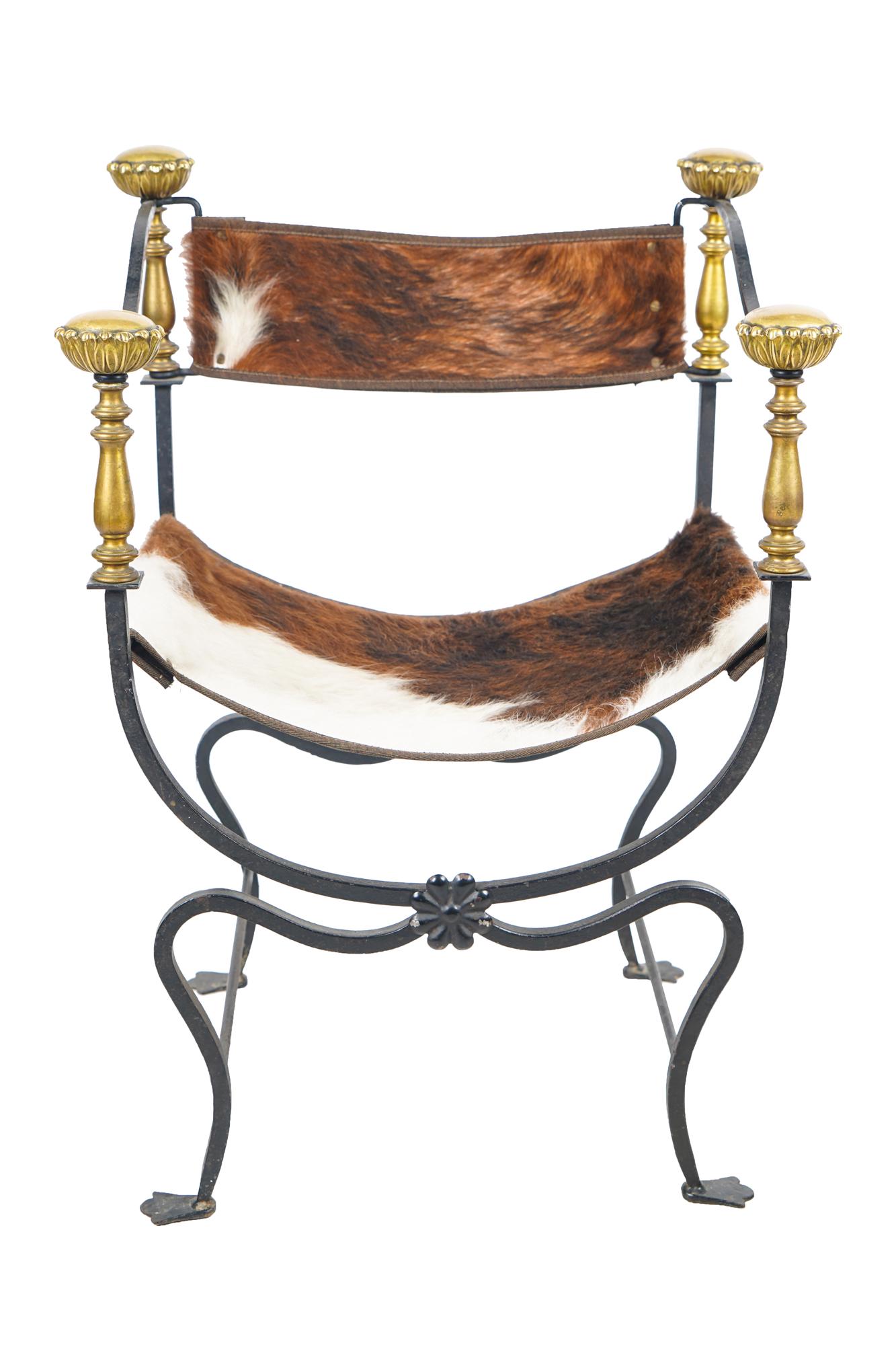 IRON & BRASS CURULE CHAIR: modern with hide seat and back Condition: good. Minor scratches and small areas of oxidation to frame. A small white paint mark to one arm. The hide in good condition. 24 inches wide; 19 1/2 inches de