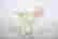 item-91066340=4
