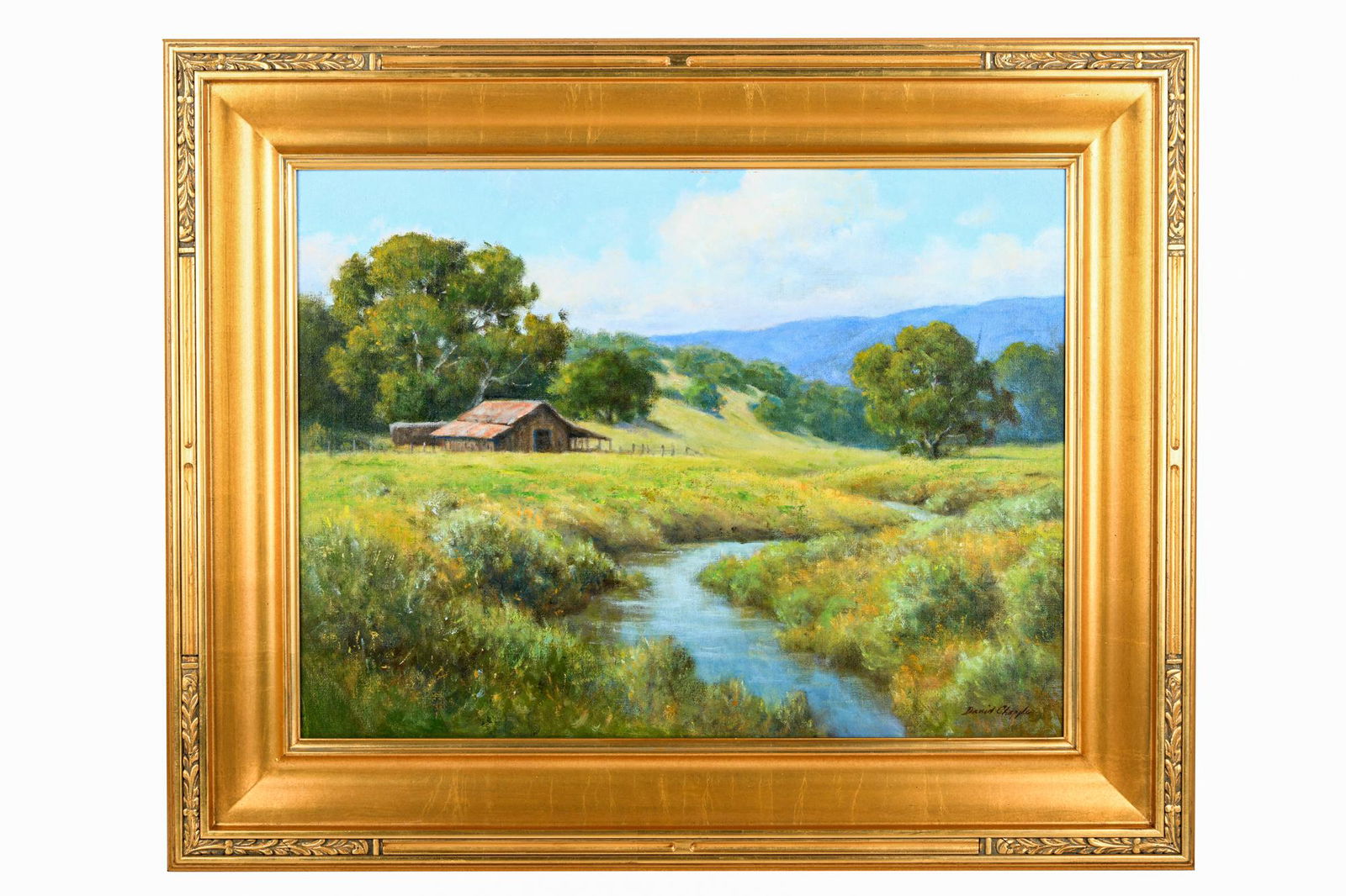 DAVID CHAPPLE: "SPRING CREEK" (1 of 10)