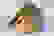 item-91820052=7