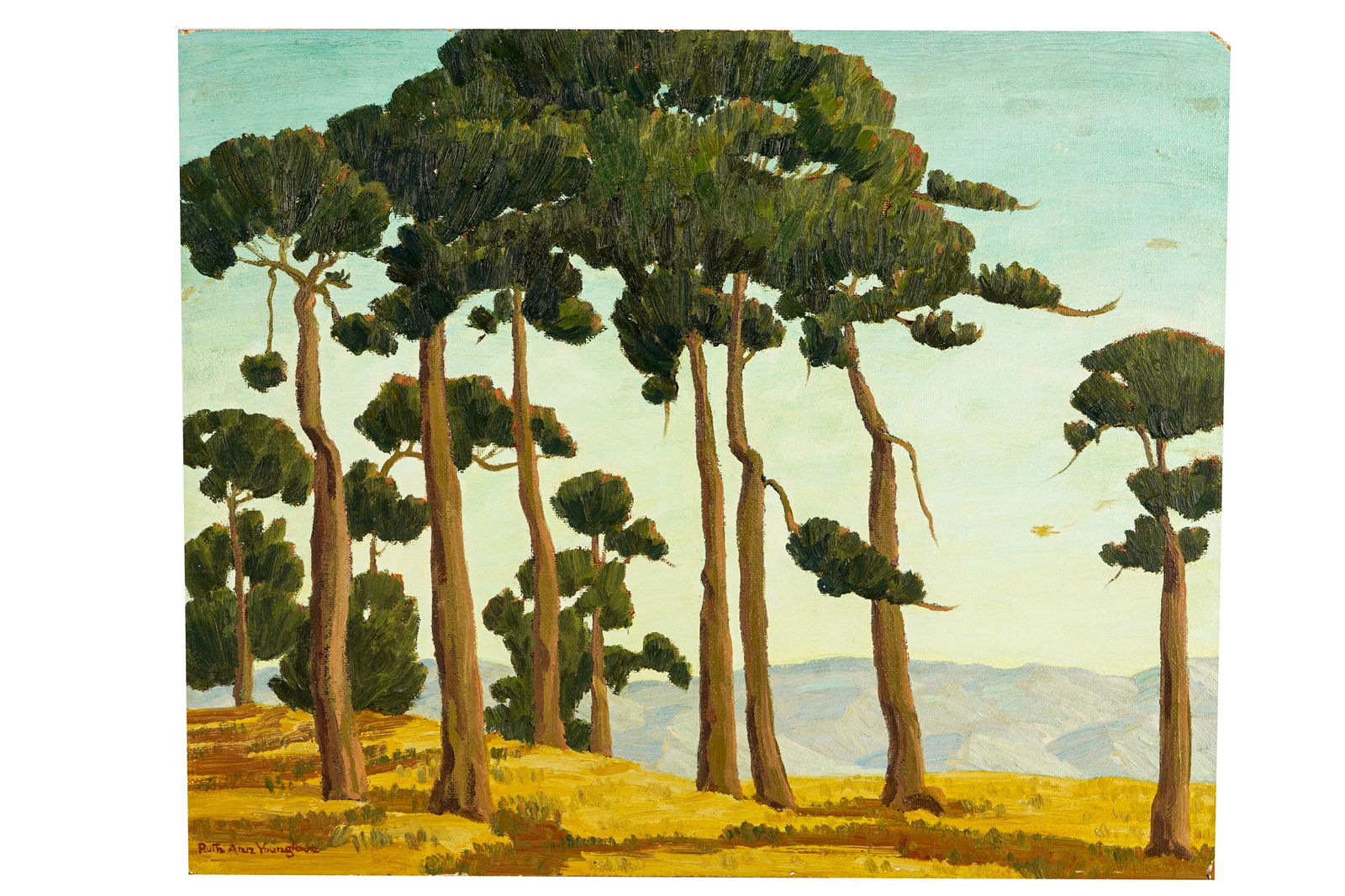 RUTH ANN YOUNGLOVE: "TALL TREES" (1 of 7)