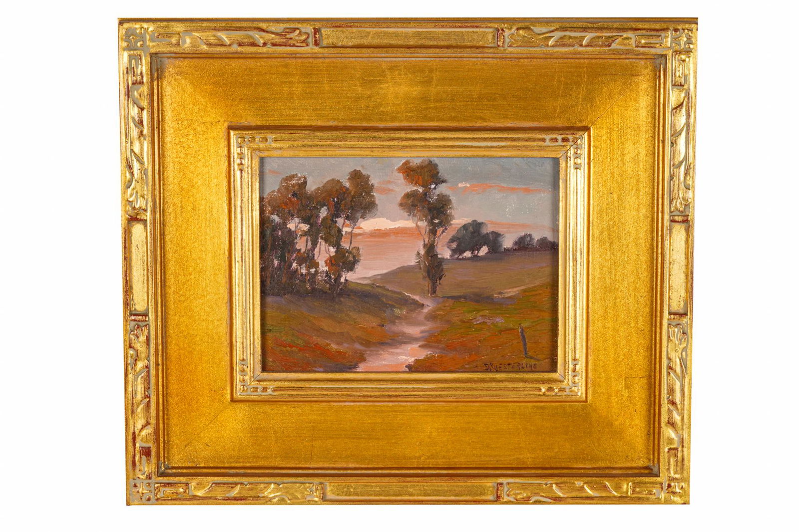 EUCALYPTUS TREES AT SUNSET (1 of 6)