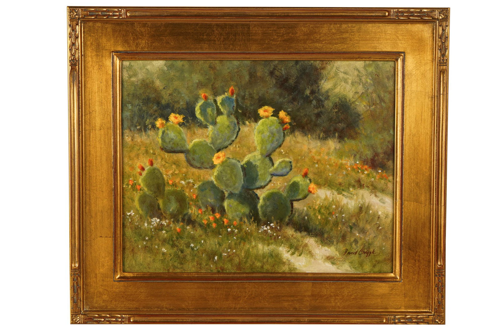 DAVID CHAPPLE (B. 1947: "CACTUS FLOWER": oil on board signed lower right, titled verso 11 x 14 inches