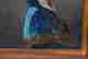 item-93905371=3