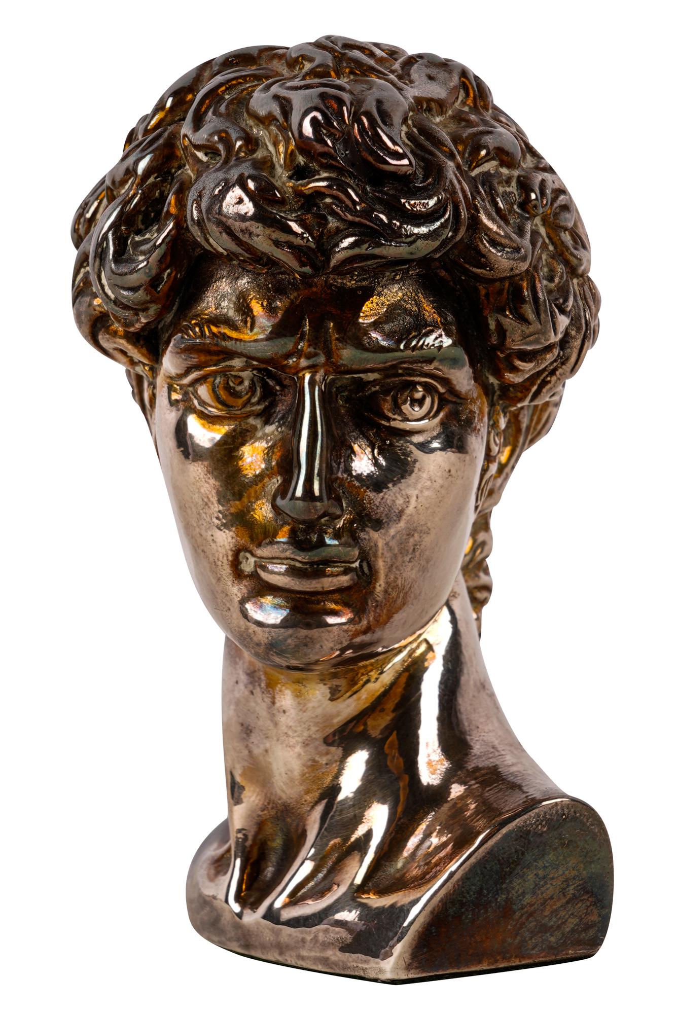 STERLING SILVER BUST OF DAVID (1 of 6)