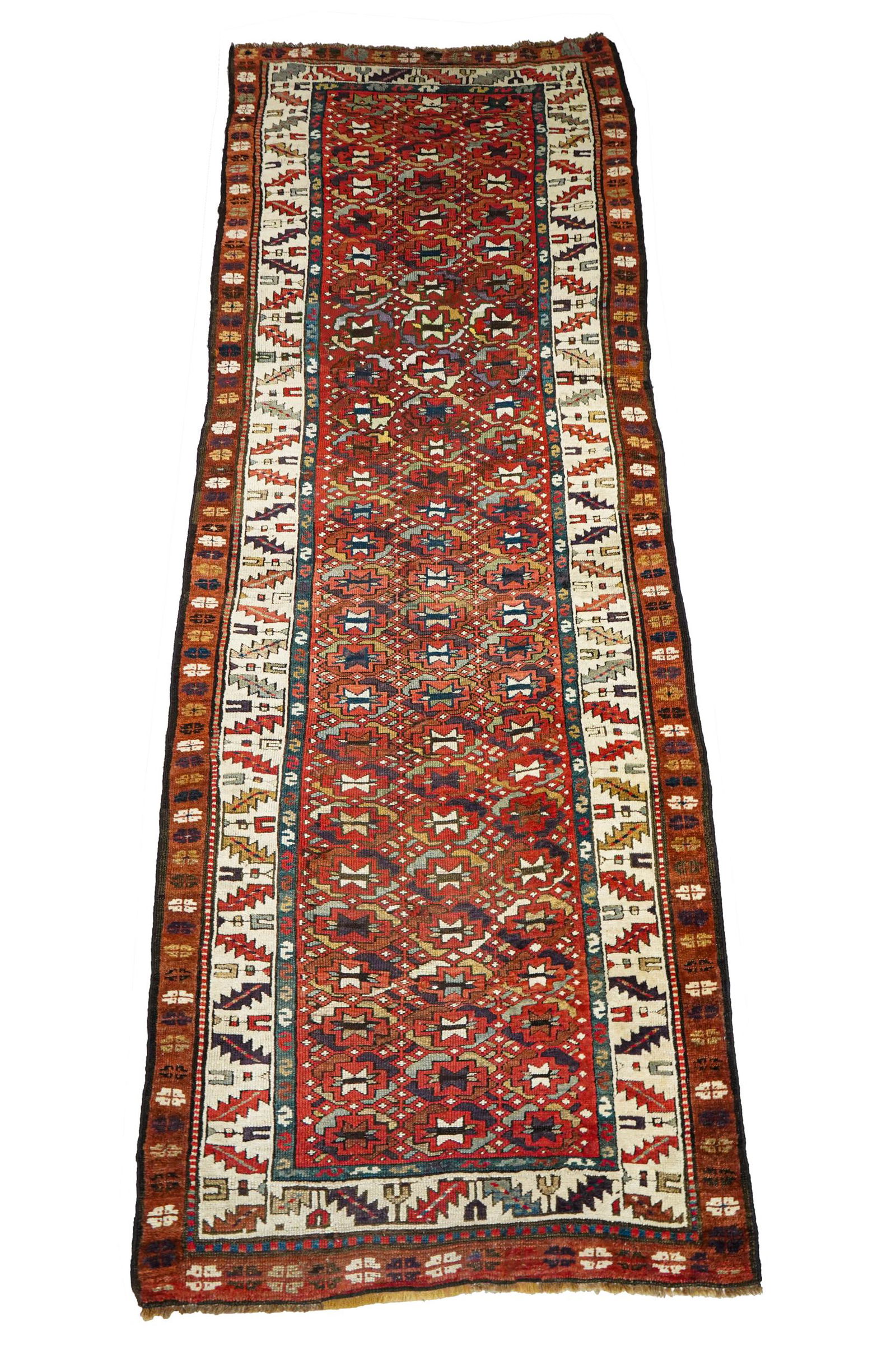 PERSIAN RUNNER (1 of 9)