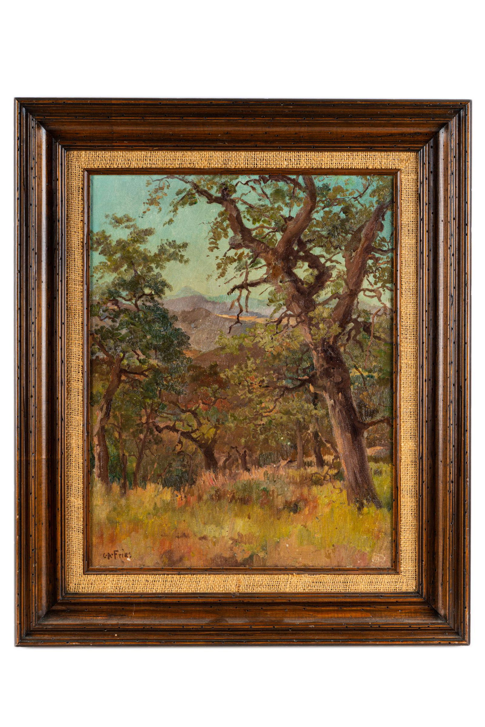 CHARLES ARTHUR FRIES (1854 - 1940): LANDSCAPE (1 of 12)