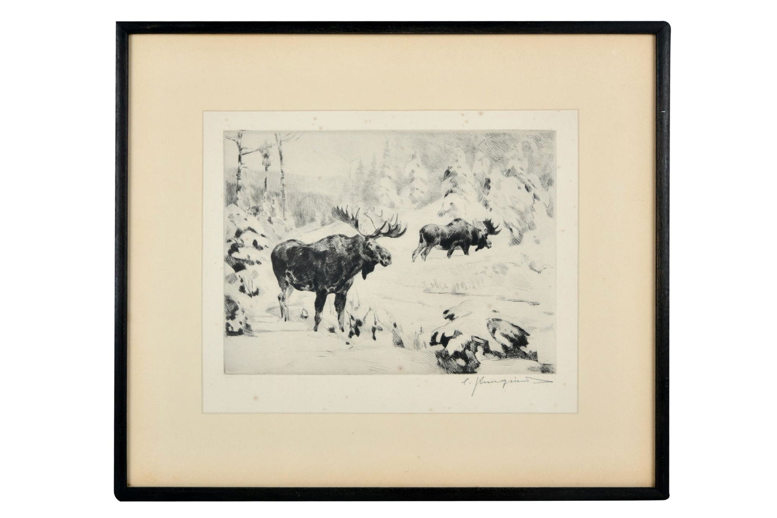 CARL CLEMENS MORITZ RUNGIUS (1869 - 1959): MOOSE (1 of 8)