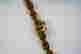 item-99148488=7