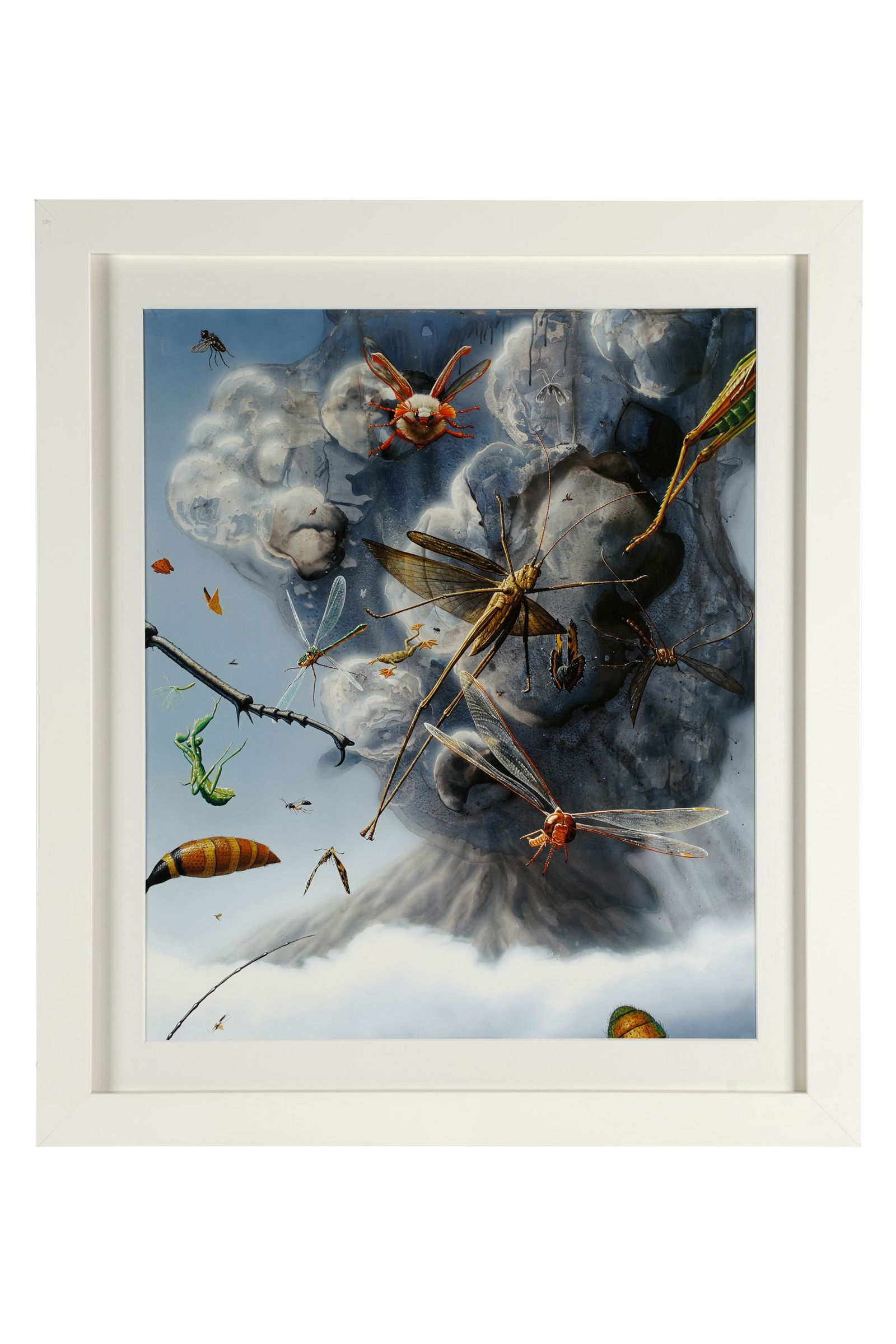 UNKNOWN ARTIST: INSECTS IN FLIGHT (1 of 7)