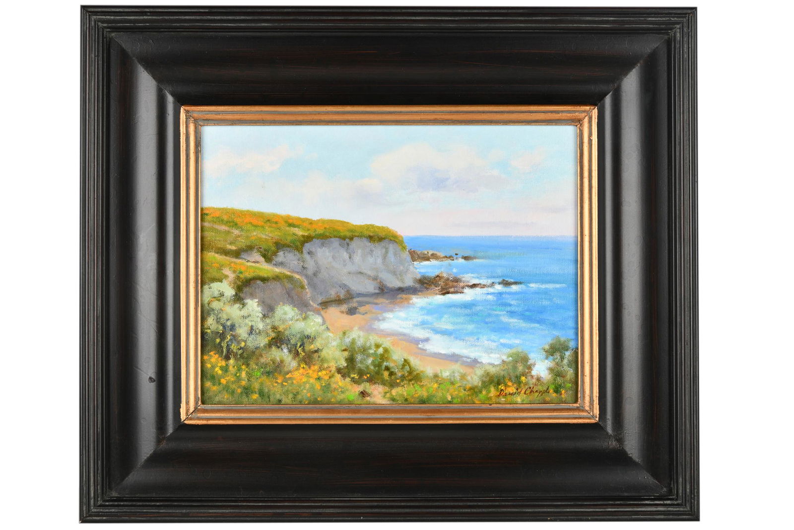 DAVID CHAPPLE (B. 1947): "MONTANA DE ORO" (1 of 8)