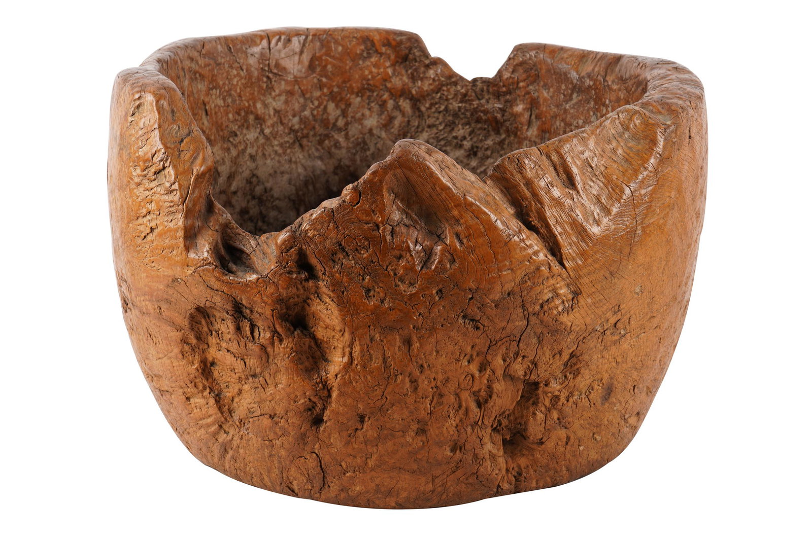ROOT WOOD PLANTER: without drainage hole 18 inches diameter (at widest point); 12 inches high