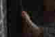 item-103056777=3