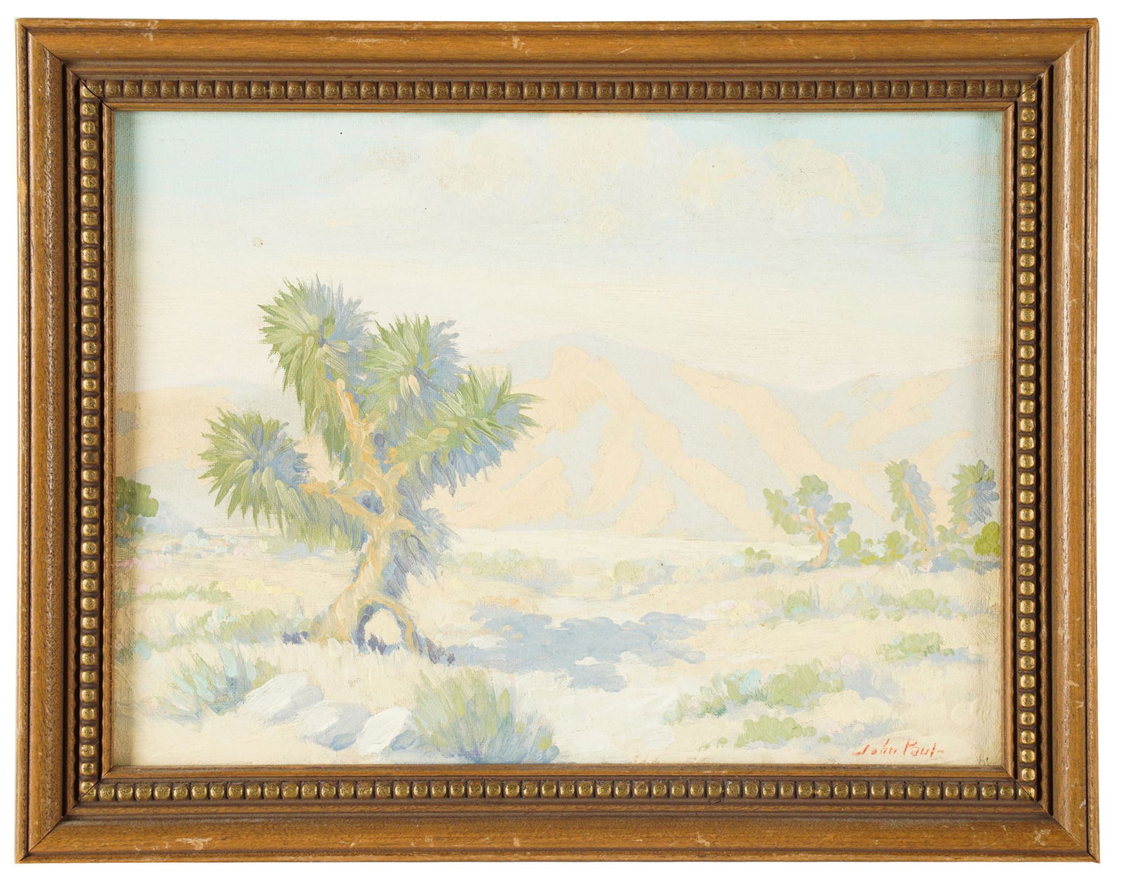 JOHN PAUL: DESERT LANDSCAPE (1 of 6)