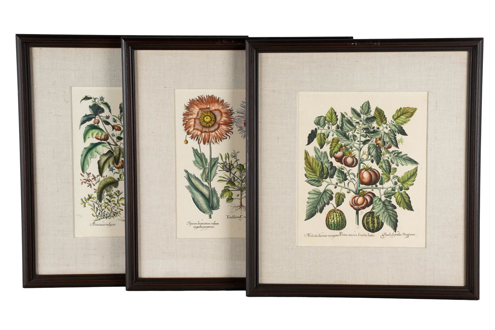 SET OF SIX BOTANICAL PRINTS (1 of 10)
