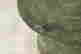 item-108318064=4