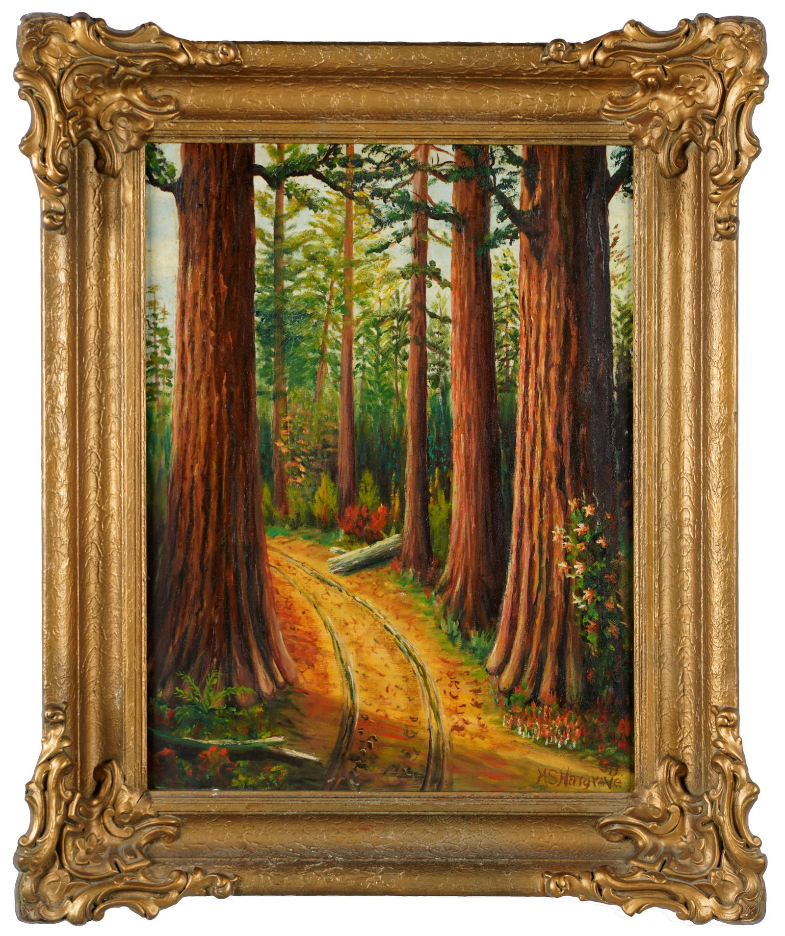 HARRY HARGRAVE (1871 - 1965): ROAD THROUGH A FOREST: oil on canvas; signed and dated lower right; 24 x 18 inches; 31 x 25 inches frame