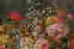 item-112297251=6