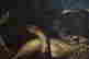 item-112297252=4