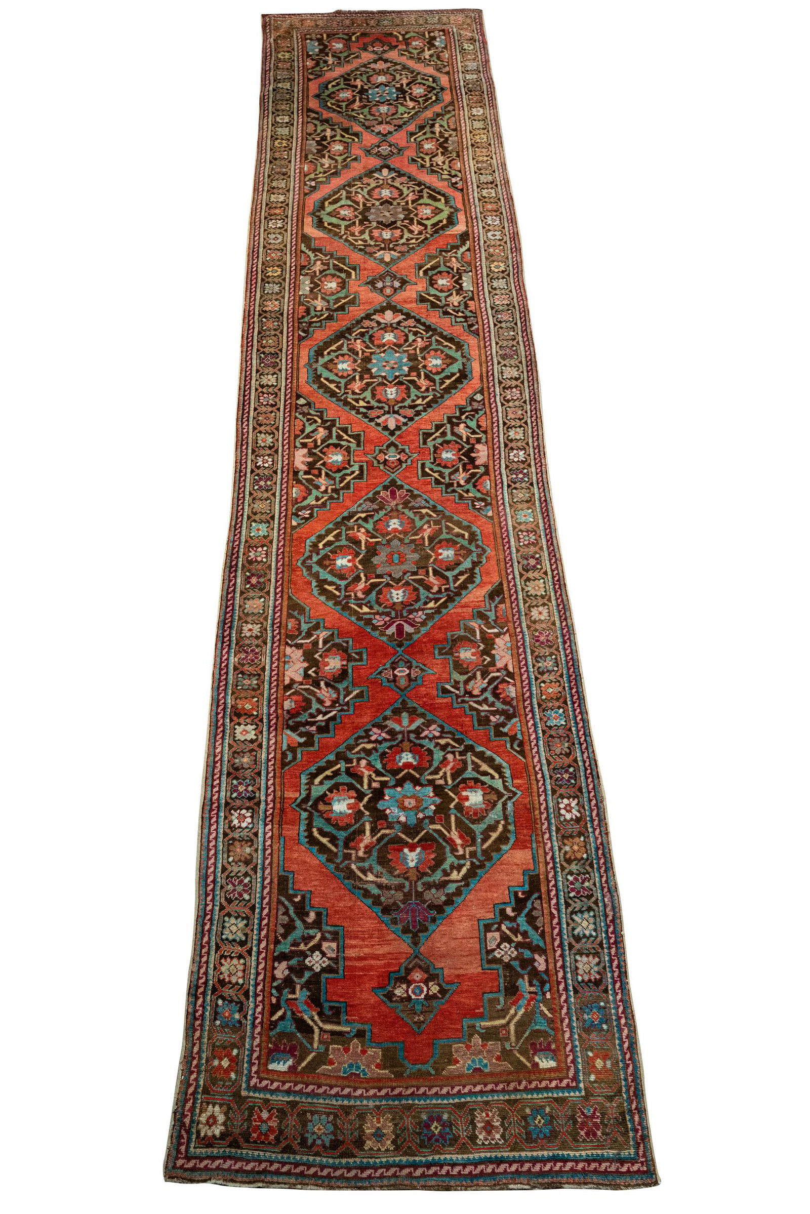 TURKISH RUNNER (1 of 11)