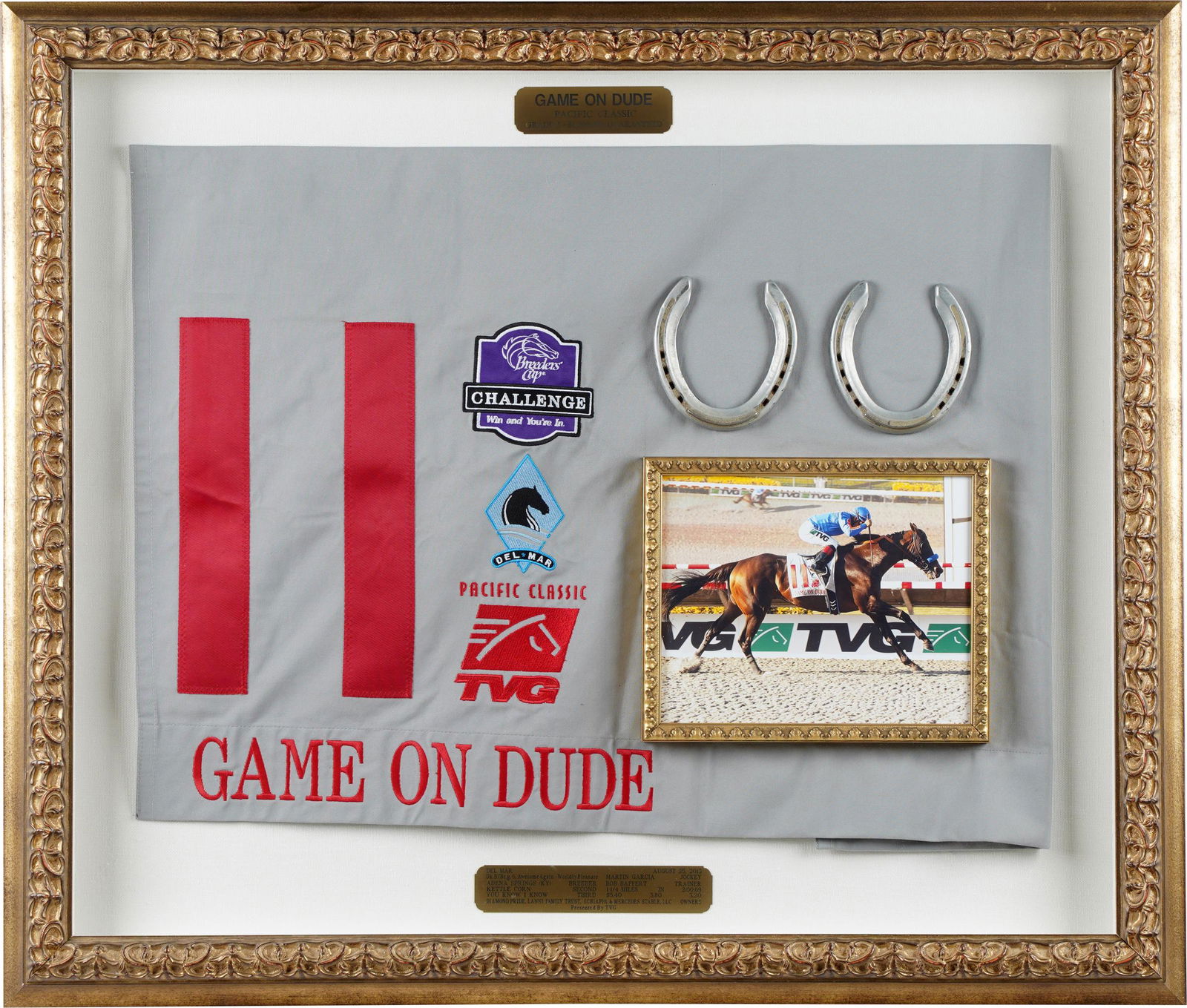 HORSE RACING FRAMED DISPLAY (1 of 12)