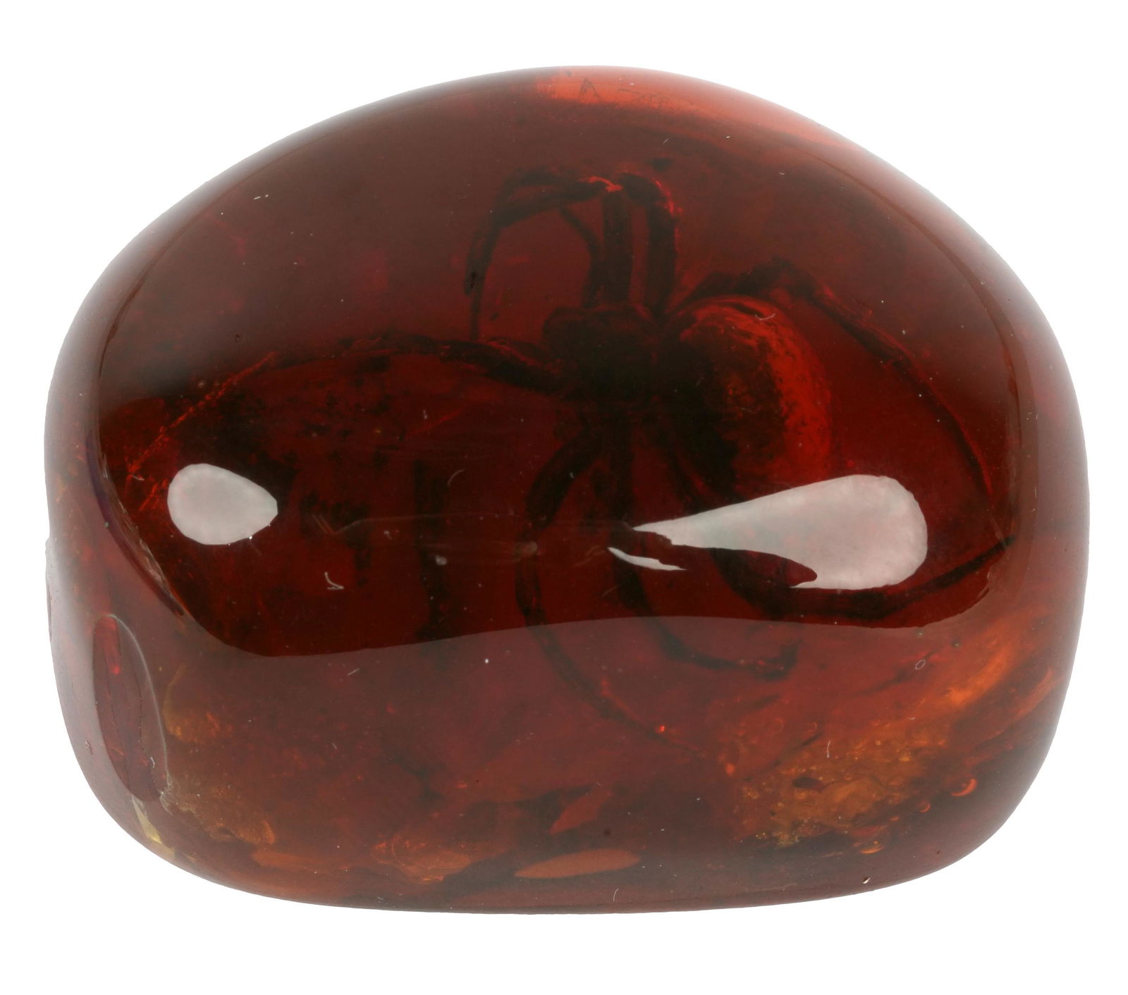 AMBER SPECIMEN WITH SPIDER (1 of 7)