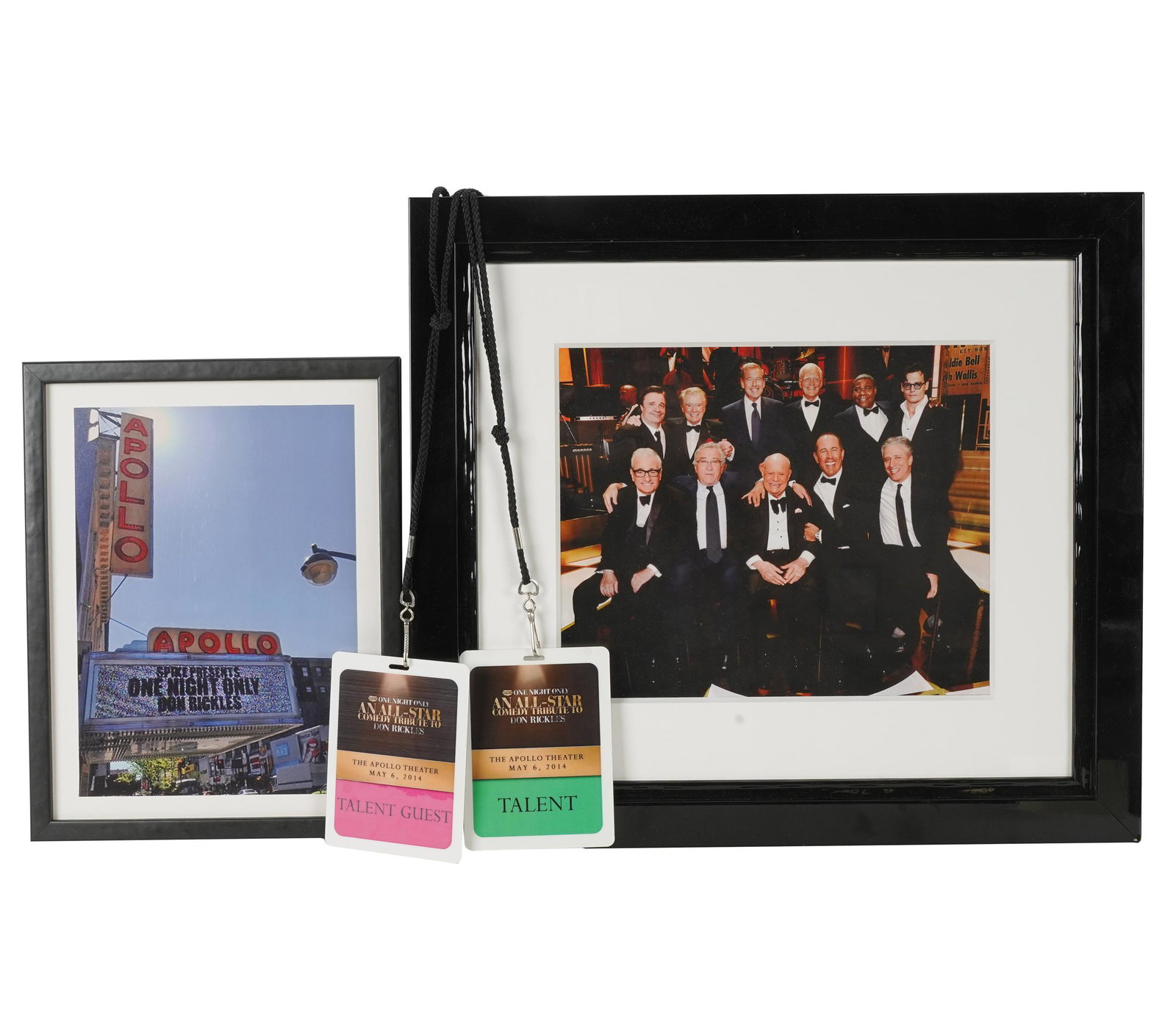 DON RICKLES 2014 APOLLO THEATER "ONE NIGHT ONLY" GROUP: large framed photo: Nathan Lane, Regis Philbin, Brian Williams, David Letterman, Tracy Morgan, Johnny Depp, Martin Scorsese, Robert De Niro, Don Rickles, Jerry Seinfeld, and Jon Stewart; talent pass a