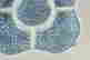 item-121092541=3
