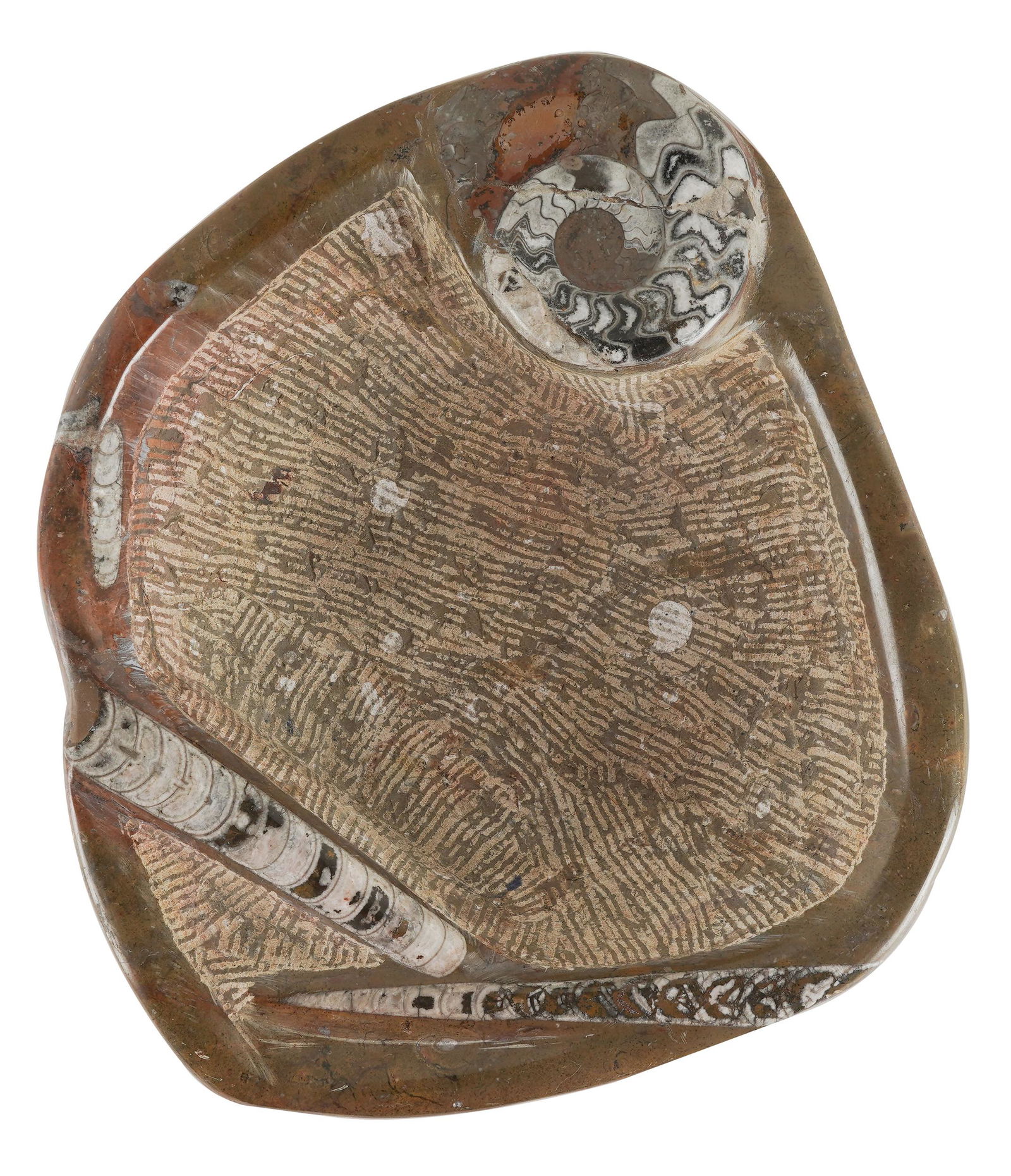 CARVED STONE FOSSIL SPECIMEN BOWL (1 of 7)