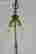 item-122964207=2