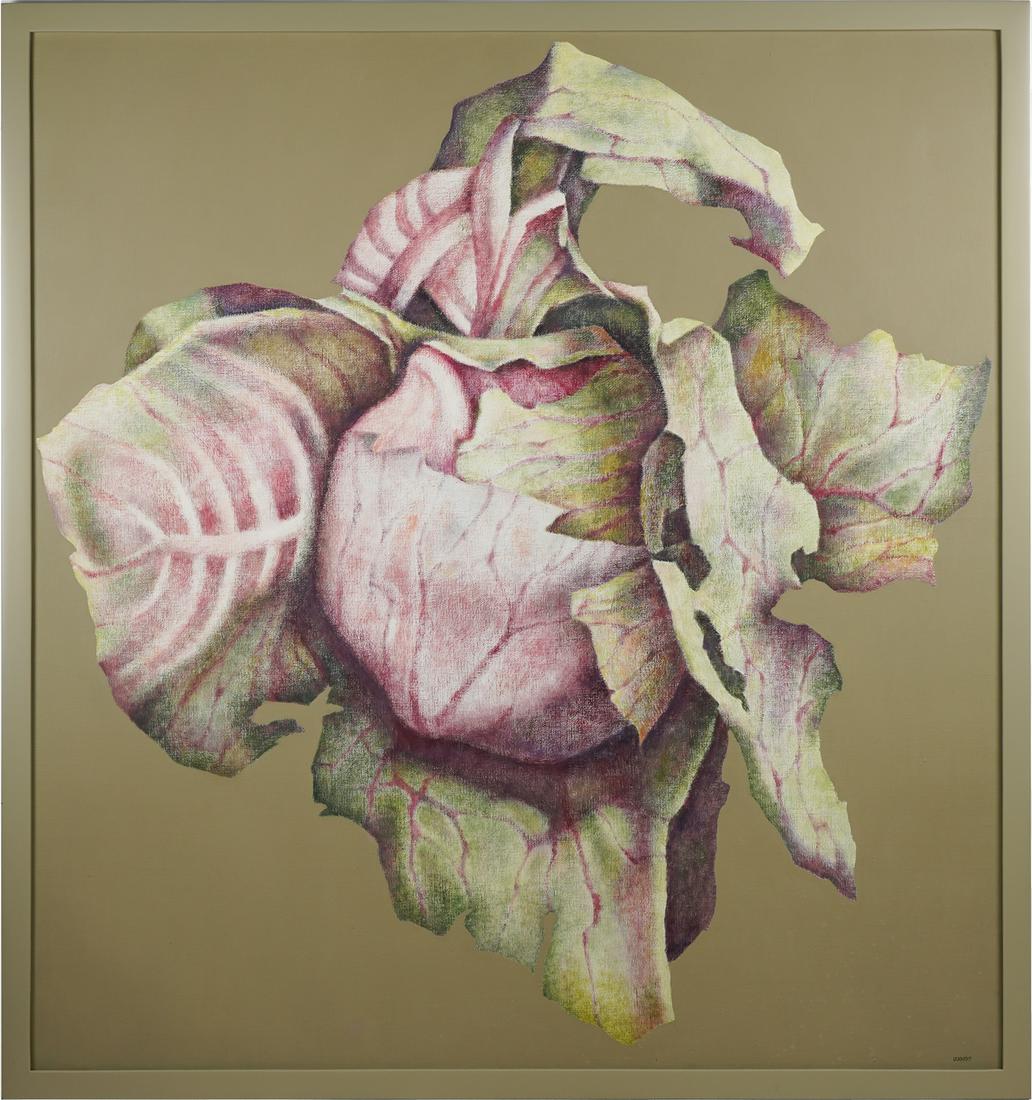 JOHN ULBRICHT (1926 - 2006): CABBAGE (1 of 14)