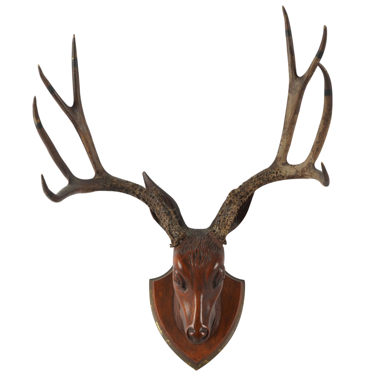CARVED BUCK'S HEAD MOUNT (1 of 10)