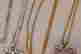 item-125976200=4