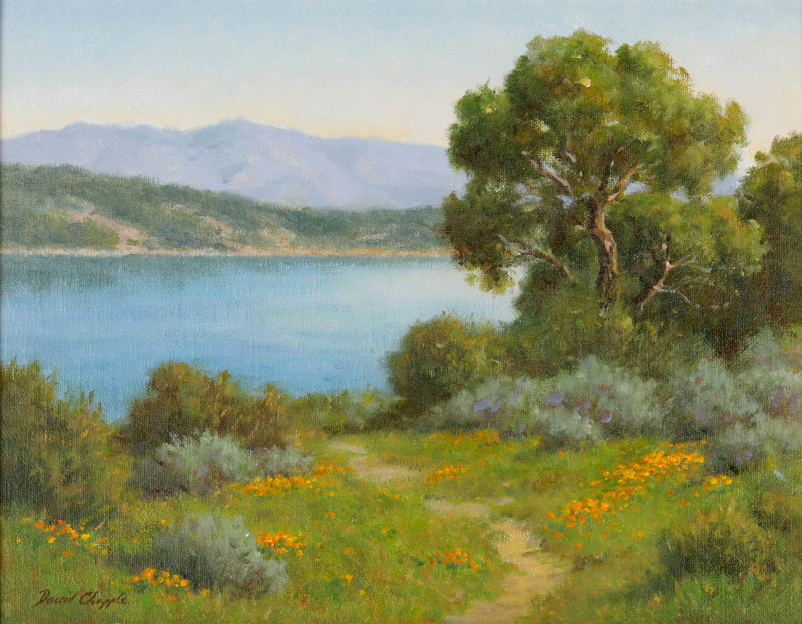 DAVID CHAPPLE (B. 1947): MORNING LIGHT (1 of 7)