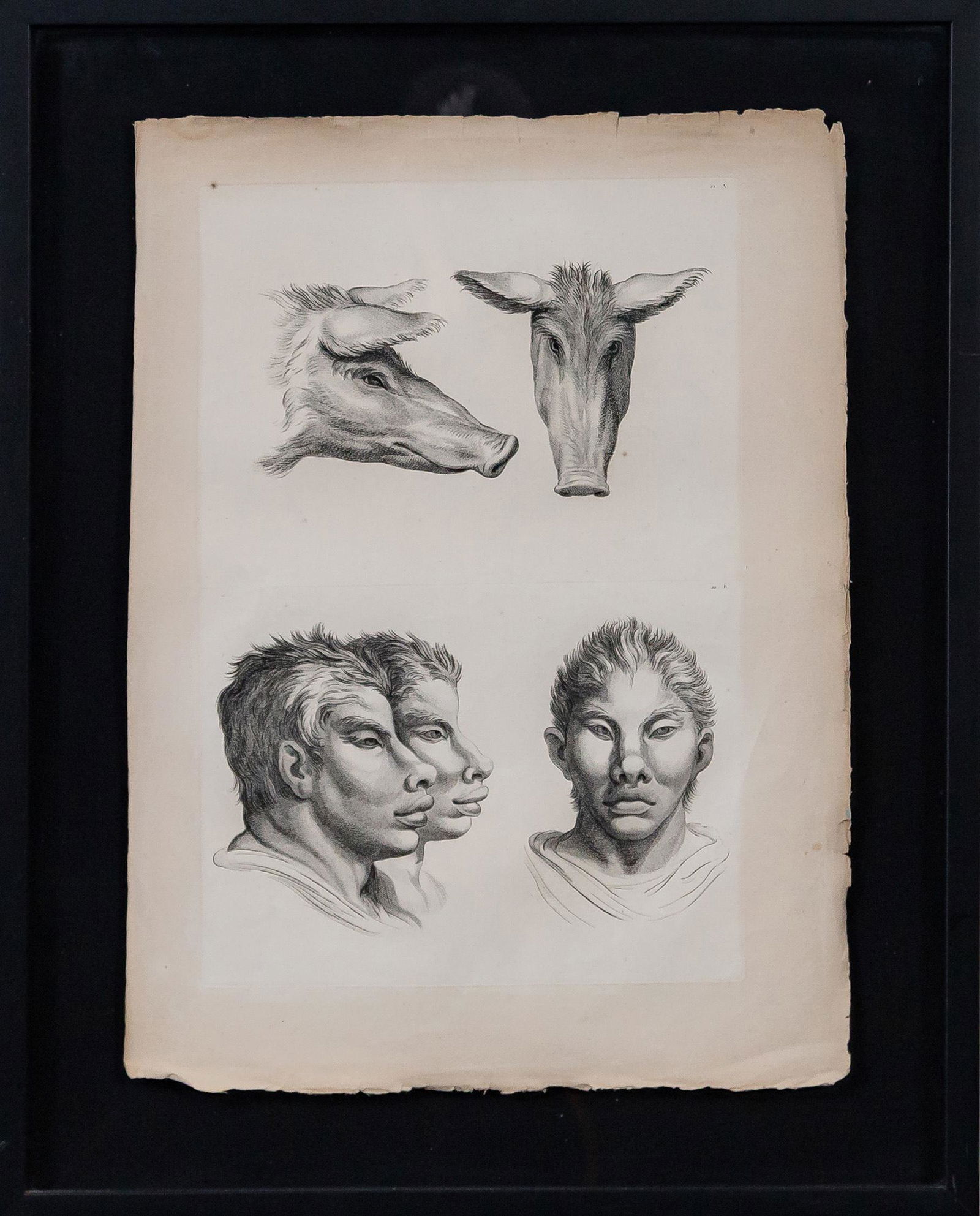 CHRISTIAN AUDIGIER ANTIQUE FRENCH PIG / MAN ENGRAVING (1 of 12)