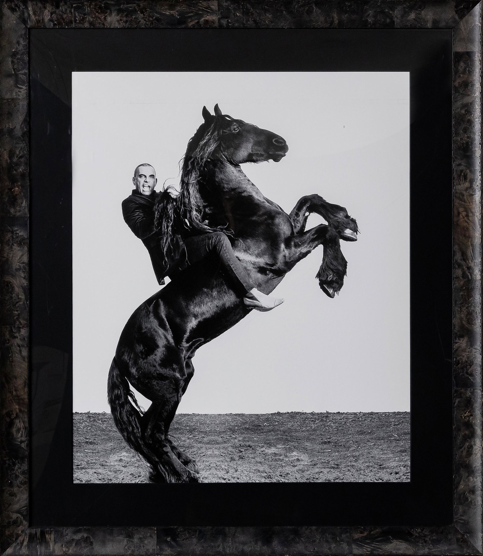 CHRISTIAN AUDIGIER LARGE PHOTO PORTAIT ON BIG BLACK STALLION: Matted, glazed and framed in a black frame.sight size: 38 1/2 x 31 1/2 inches; overall as framed: 52 1/4 x 45 inches
