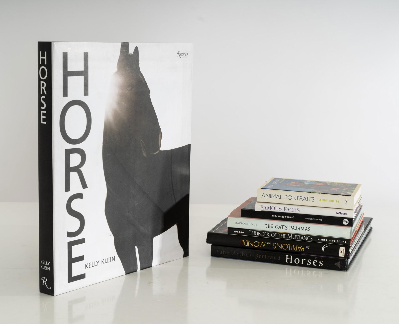 CHRISTIAN AUDIGIER BOOKS ON HORSES & OTHER ANIMALS (1 of 11)